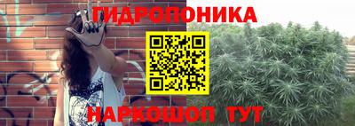 гидропоника Коммунар